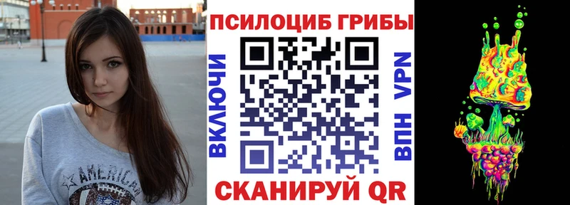 Галлюциногенные грибы Psilocybine cubensis  где найти   Рыльск 